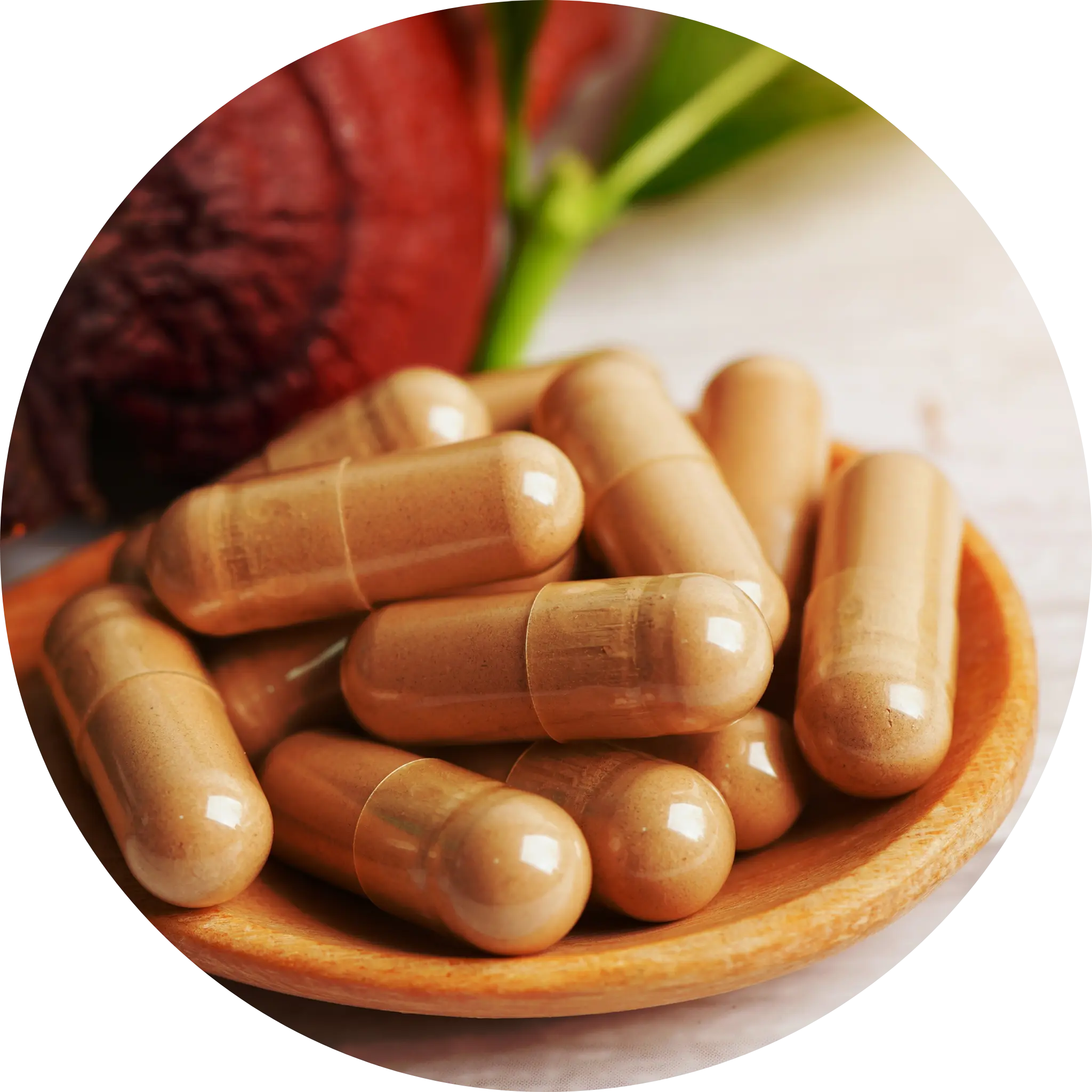 Stress Support Wellness Capsules - 90 Capsules