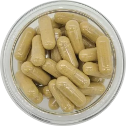 Colon Health Wellness Capsules - 60 Capsules